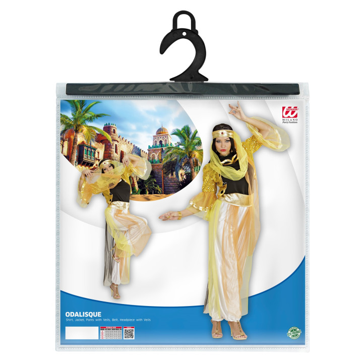 Oriental costume for harem dancer